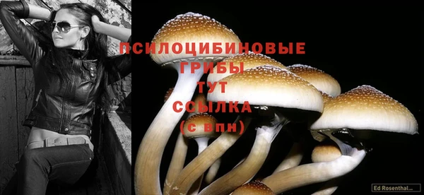 a pvp Балахна
