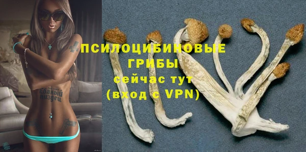 спайс Балабаново