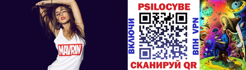 что такое наркотик  mega ONION  Галлюциногенные грибы Psilocybe  Нерюнгри 