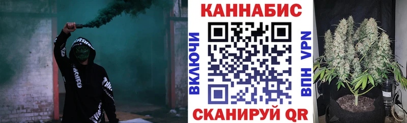 Конопля сатива Нерюнгри